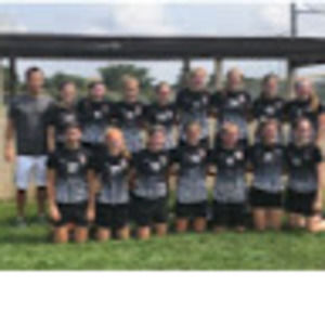 Meet your Posher, Lily